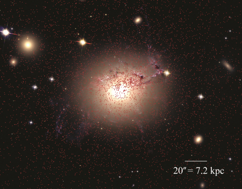 Old globular clusters (ages up to 10 billion years or more) are indicated by the red dots.  These globular clusters are randomly distributed around the giant galaxy at the center of the Perseus galaxy cluster; this galaxy is the large gray to white oval at the center of the picture.  Round or oval objects, also colored gray to white, are smaller galaxies that are part of the same galaxy cluster.